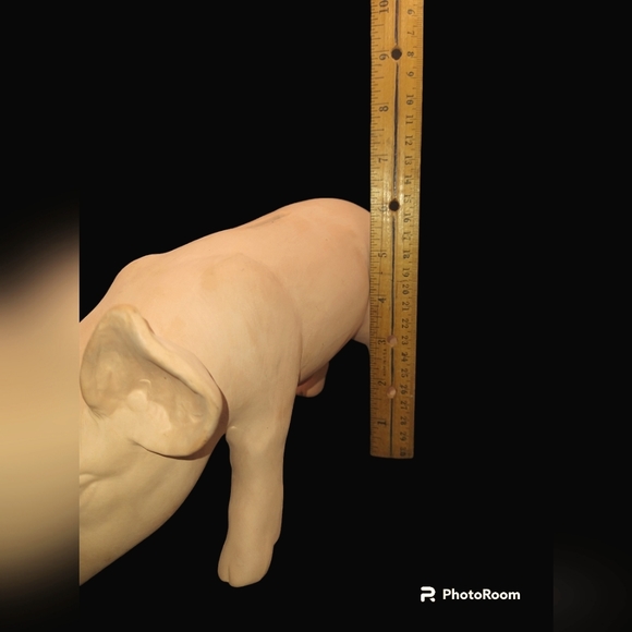 Piggy Bank - Picture 10 of 14